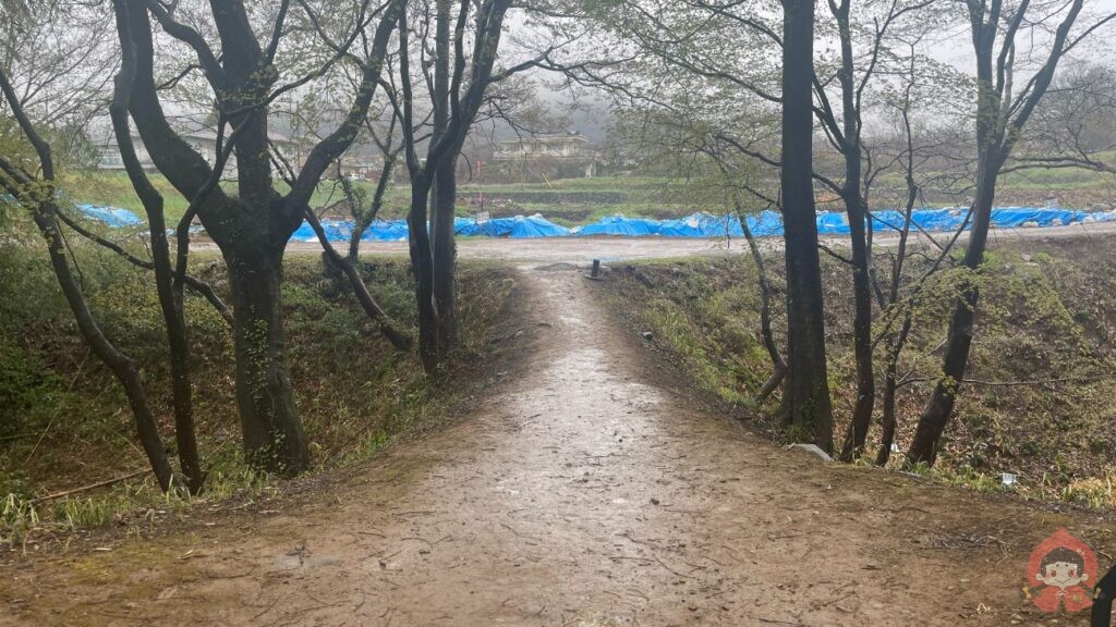 武田神社（躑躅ヶ崎館）の御朱印｜山梨県甲府市