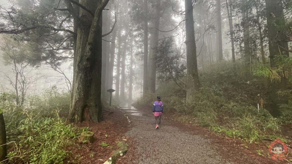 箱根街道で箱根関所から箱根湯本駅まで歩く旅｜神奈川県箱根町