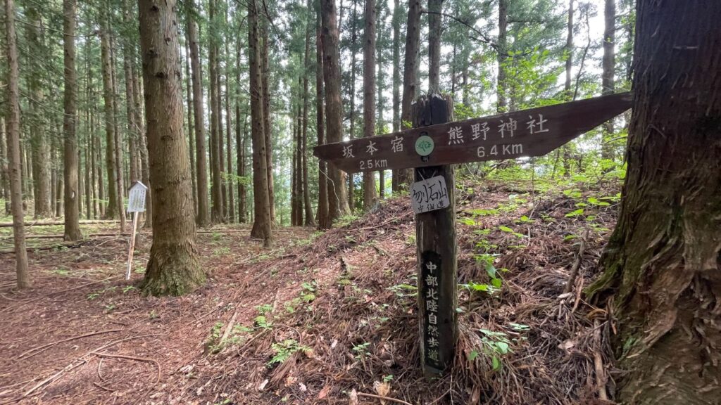 【中山道 碓氷峠】軽井沢から横川へ11km3時間コースをご紹介