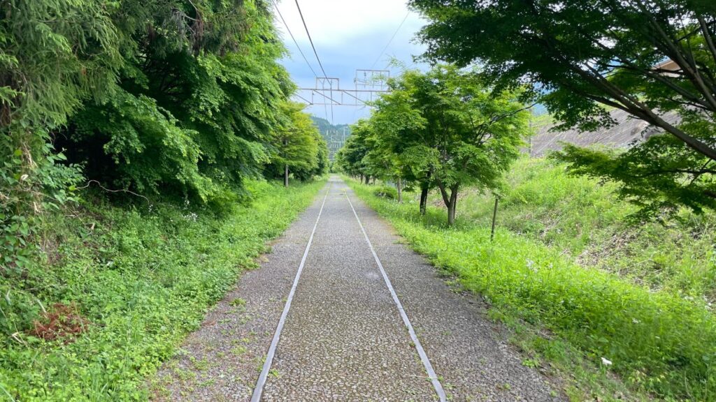 【中山道 碓氷峠】軽井沢から横川へ11km3時間コースをご紹介