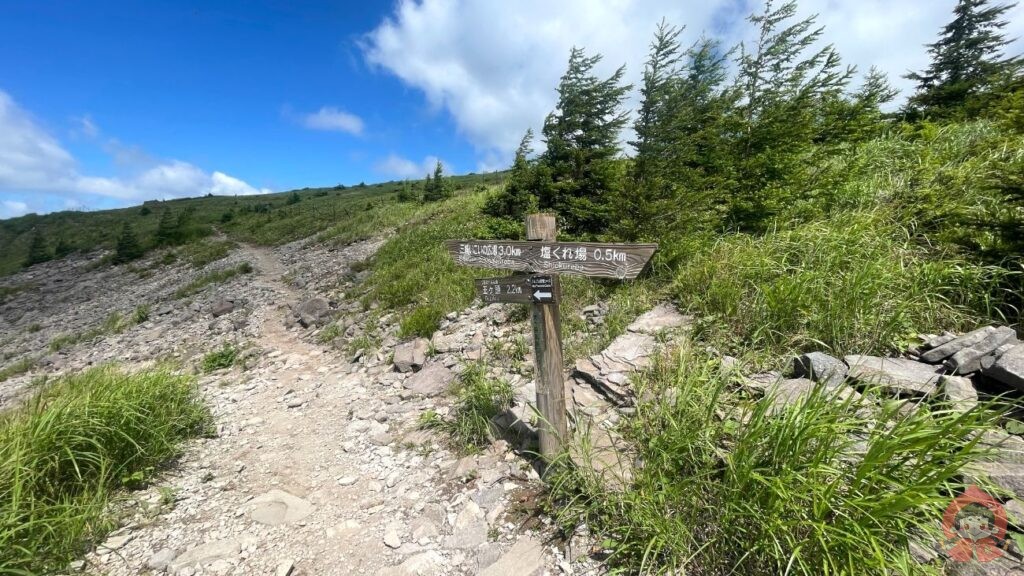 【長野】美ヶ原高原１周12kmハイキング！