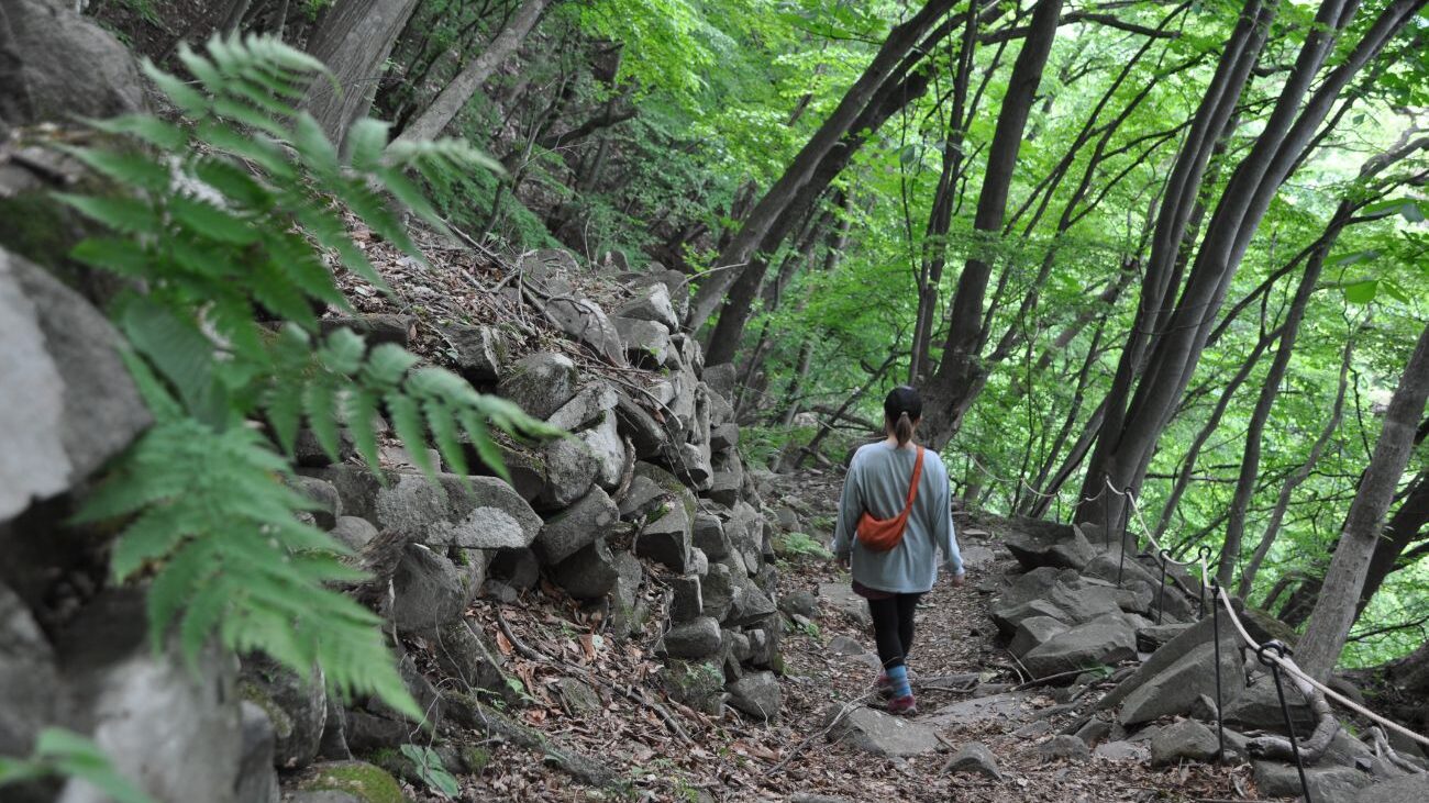 【中山道 碓氷峠】軽井沢から横川へ11km3時間コースをご紹介