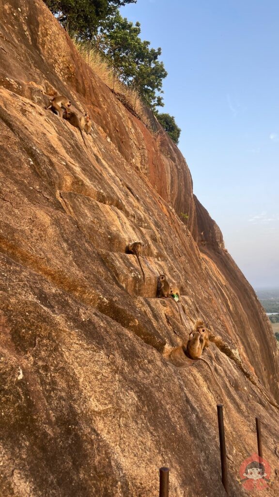 【スリランカ旅】世界遺産「シーギリヤロック」に早朝登山！朝日と絶景に出会う感動体験記