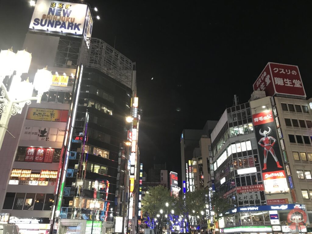 「新宿」の由来とは?江戸の宿場町から日本随一の繁華街へ