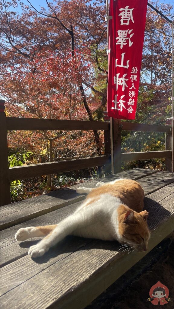 【栃木】唐沢山城|お猫さまが支配する“難攻不落”の山城【続日本100名城】