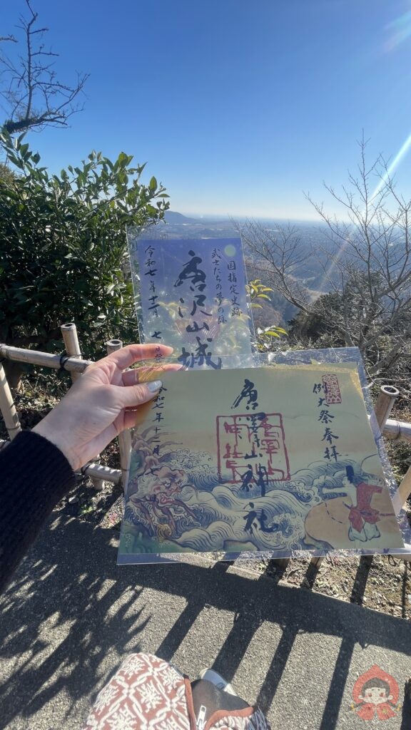 【栃木】唐沢山城|お猫さまが支配する“難攻不落”の山城【続日本100名城】