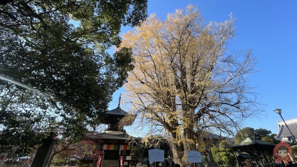 足利氏館|栃木県足利市